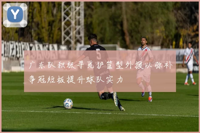 广东队积极寻觅护筐型外援以弥补争冠短板提升球队实力